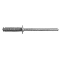 Заклепка вытяжная комбинированная SWFS 4х6 (1000 шт)